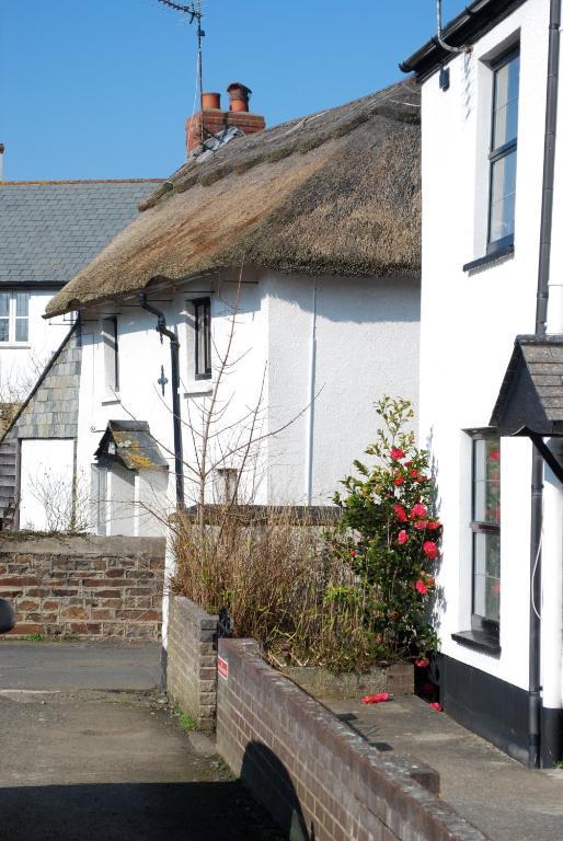 Oak Lodge B&B Bude Exterior foto